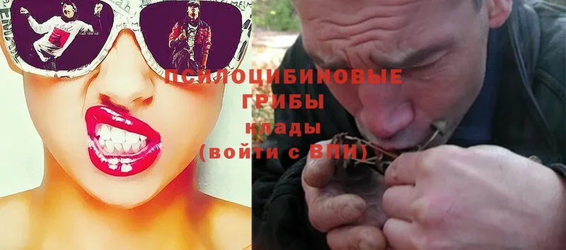 Галлюциногенные грибы Psilocybe  Пугачёв 